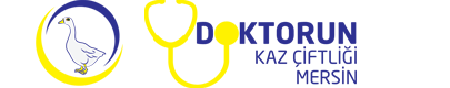 Doktorun Kaz Çiftliği